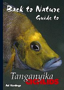 Tanganyika+cichlids