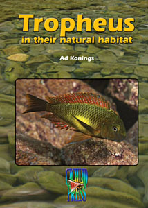 Malawi Cichlids in their natural habitat. Volume 4