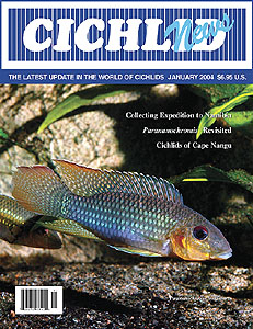 cover January 2004