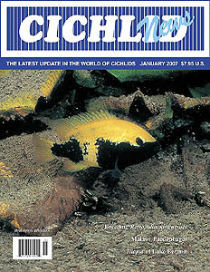 cover January 2007