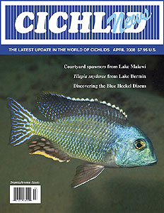 cover April 2008