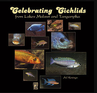 Celebrating Cichlids by Ad Konings