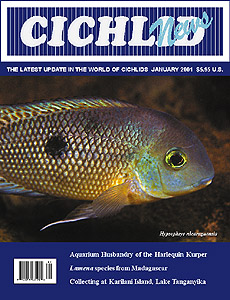 cover Jan 2001