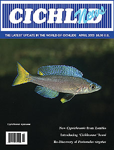 cover April 2003