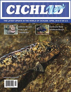 cover Apr 2010