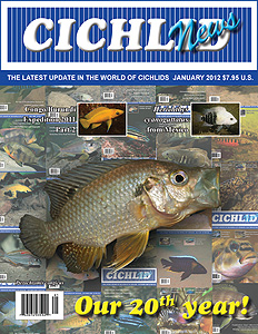 cover Jan 2012