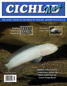 cover Jan 2013