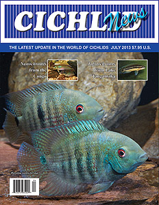 cover Jul 2013