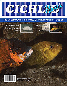 cover Apr 2015