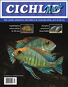cover Apr 2017