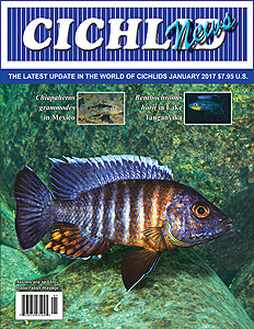 cover Jan 2017