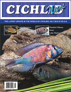 cover Jul 2018
