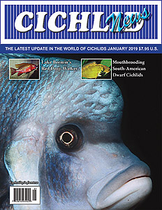 cover Jan 2019