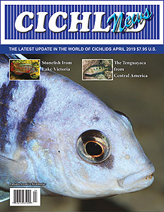 cover Apr 2019