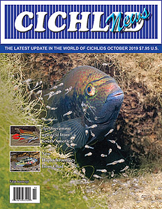cover Oct 2019