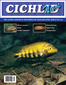 cover April 2020
