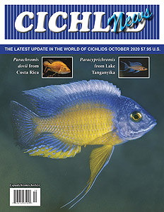 cover Oct 2020