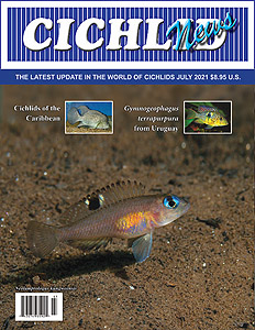 cover Jul 2021