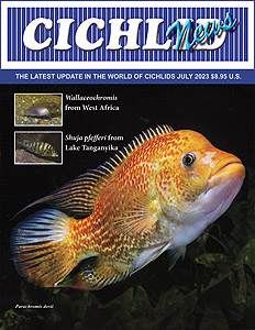 cover Jul 2023