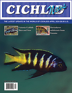cover Apr 2024