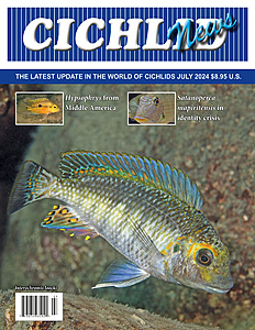 cover Jul 2024