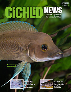 cover April 2025
