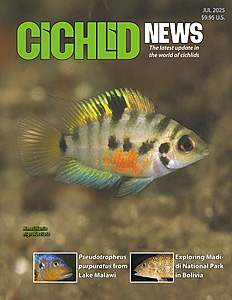 cover Jul 2025